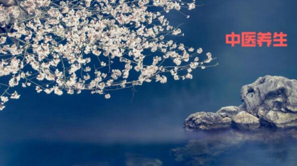 权威姜水半夏别名叫什么平台,分享专业姜水半夏别名叫什么知识_姜水半夏的功效与作用及禁忌症网
