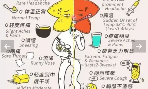 姜水半夏中药别名-权威姜水半夏别名叫什么平台,分享专业姜水半夏别名叫什么知识_姜水半夏的功效与作用及禁忌症网