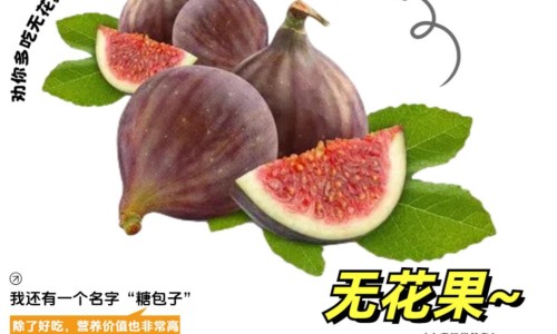 姜水半夏的功效与作用及禁忌症图片-权威姜水半夏别名叫什么平台,分享专业姜水半夏别名叫什么知识_姜水半夏的功效与作用及禁忌症网