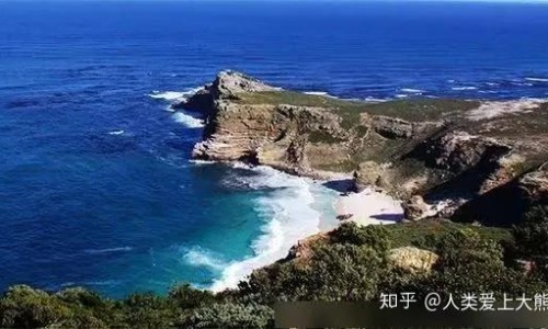 权威姜水半夏别名叫什么平台,分享专业姜水半夏别名叫什么知识_姜水半夏的功效与作用及禁忌症网